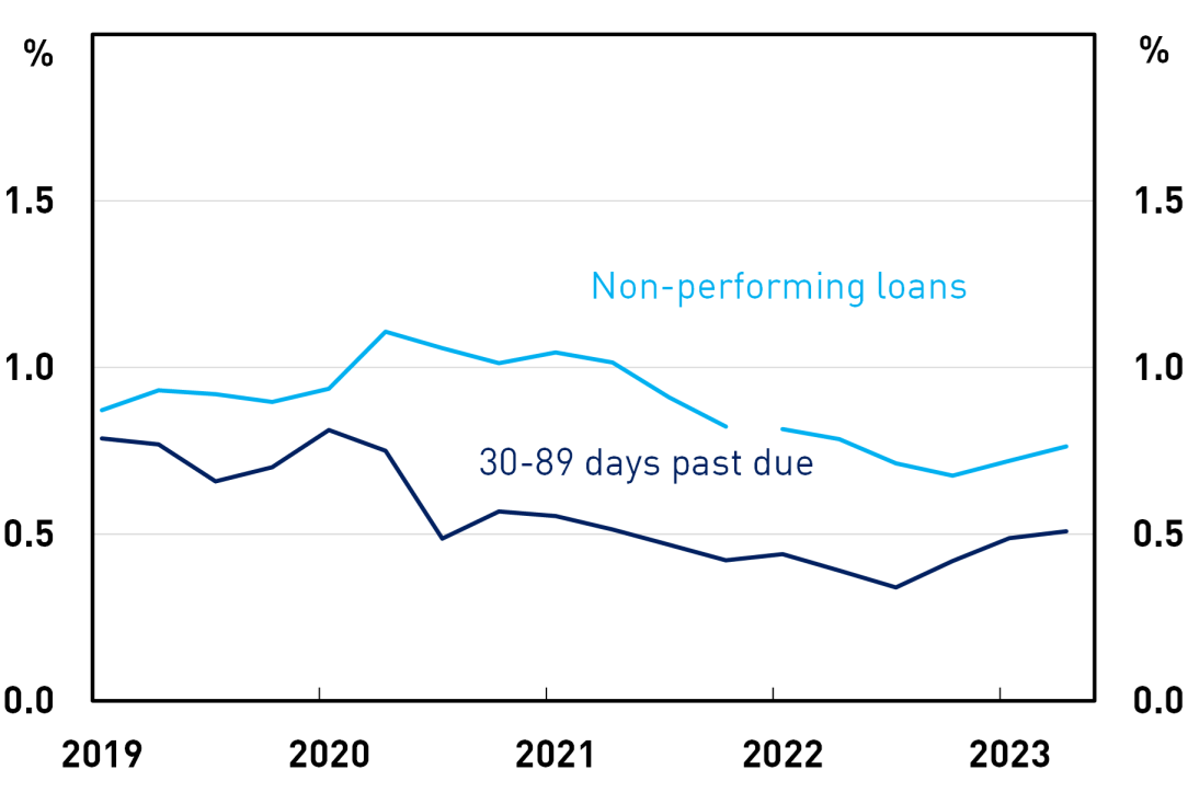A line chart of arrears as a share of total housing loans outstanding, through time. Non-performing loans and 30 to 89 days past due have fallen since early 2020. They have increased marginally since mid 2022 but remain lower than 2019 levels.