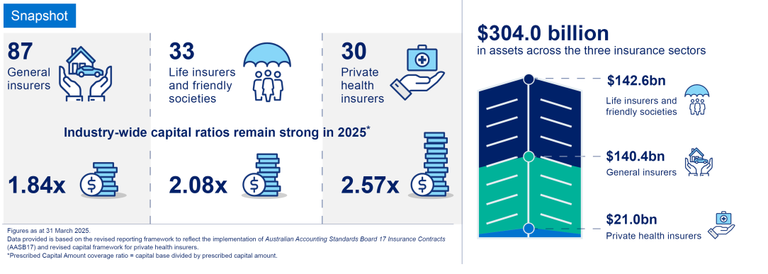 insurance snapshot