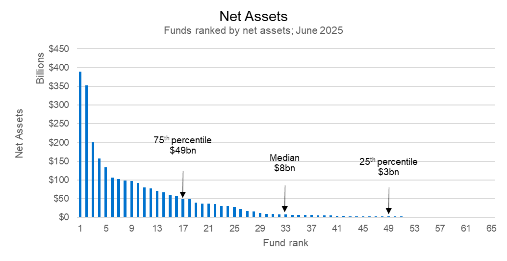 A bar chart showing the distribution of net assets, where a small group of large funds have a sizeable portion of the market share.