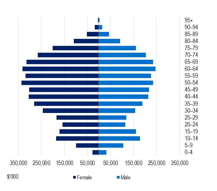 Bar graph showing income distribution by age and gender. Dark blue bars on the left for females and light blue on the right for males, ages 0-4 to 95+.