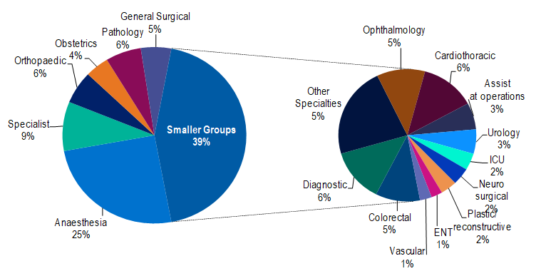 Medical benefits by specialty group, largest share in smaller groups (39%) and anaesthesia (25%), others spread across specialties