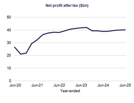 This line graph shows the year-ended net profit after tax in $bn over a five-year period.