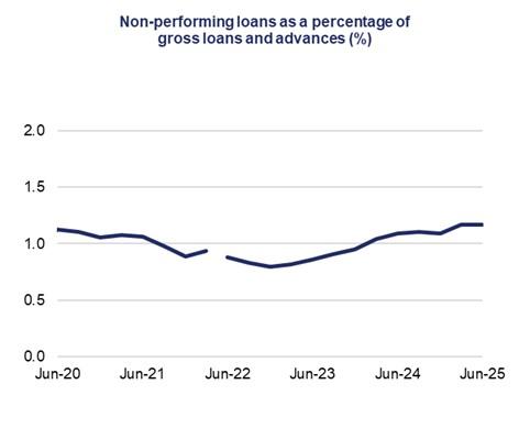This line chart shows non-performing loans as a percentage of gross loans and advances (%) over a five-year period.