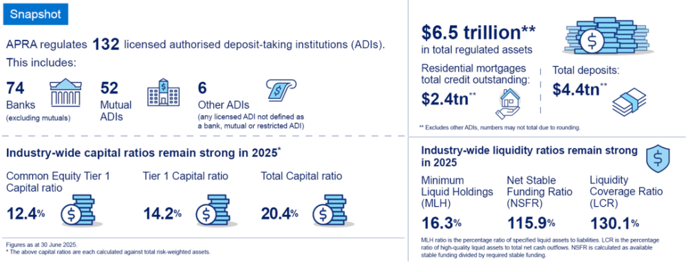 Banking snapshot June 2025