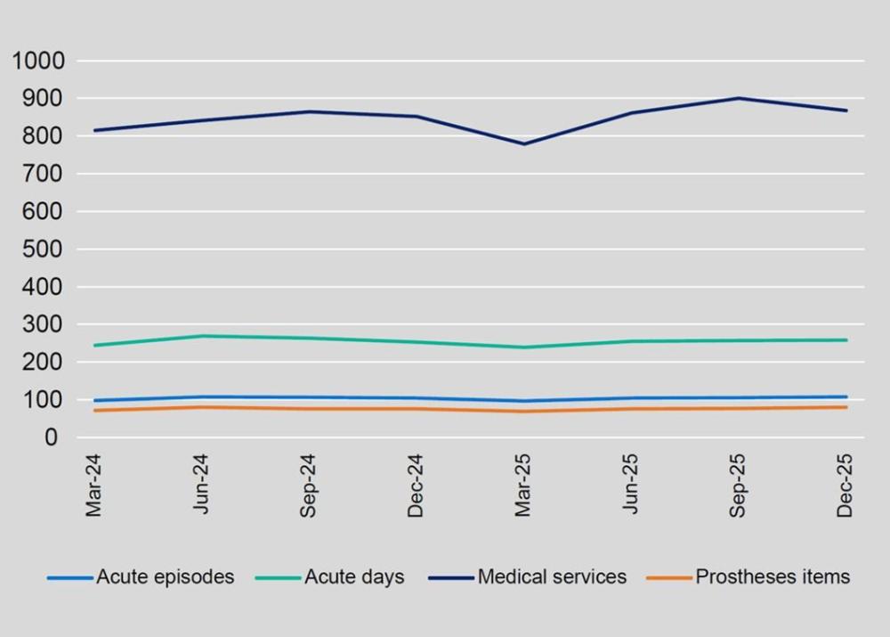 Quarterly trends in hospital activity and related services show moderate fluctuation over time: medical services remain the highest and generally increase overall with a dip around March 2025, acute days follow a similar but lower pattern with minor variation, acute episodes remain relatively stable with slight growth, and prostheses items show gradual, modest increases throughout the period.