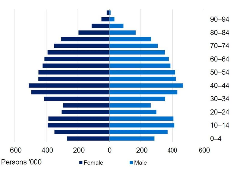 Insured persons by age group and sex (persons ’000) shown as a population pyramid: numbers peak in the 40–44 and 50–54 age groups for both sexes, are lower in younger ages (0–4 to 20–24), and decline steadily from around 70–74 through 90–94, with males generally slightly higher than females in most working‑age groups.