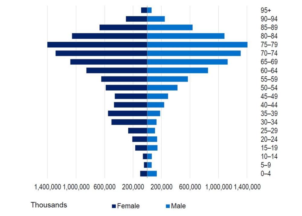 Number of persons insured by age shown as a population pyramid, with the largest populations in older working‑age and early retirement age groups (around 60–64, 70–74 and 75–79), and smaller populations in younger age groups. Numbers decline sharply from around 80–84 through 95+, with males and females broadly similar in distribution across most age groups.