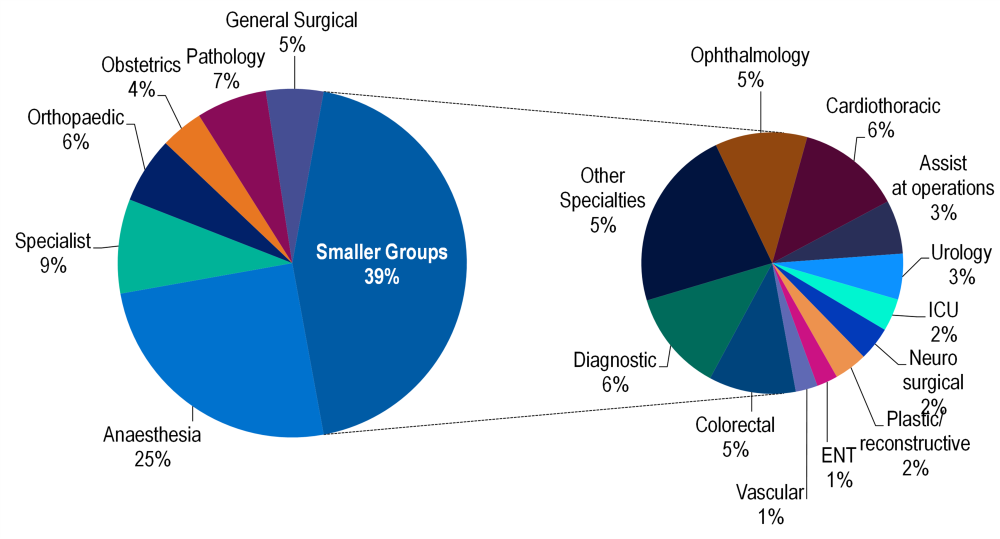 Pie charts showing anaesthesia (25%) is the largest identified hospital specialty group, while smaller groups collectively account for 39% of services.